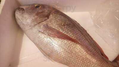 La Taberna De Antonio