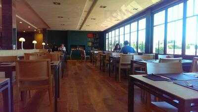 Harvard & Co Sexta Avenida