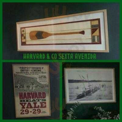 Harvard & Co Sexta Avenida