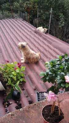 Restaurante La Casina