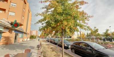 Cerveceria-cafeteria Drach