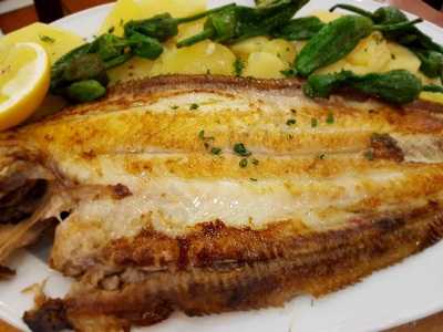 Cervecería Gambrinus