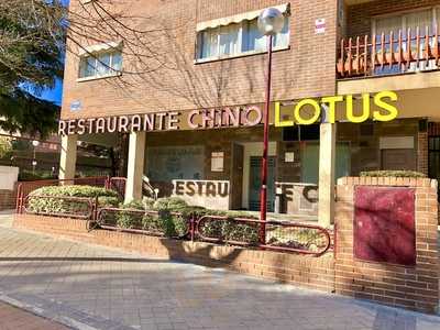 Restarurante Lotus