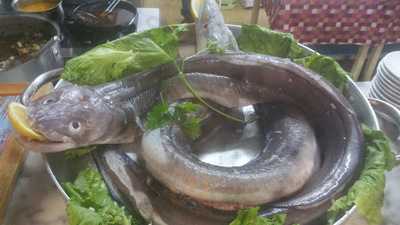 La Real Compania Sidrera Y Gastronomica