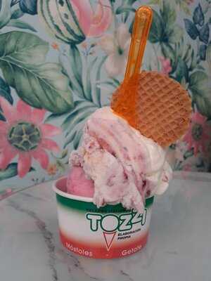 Heladería Tozzi