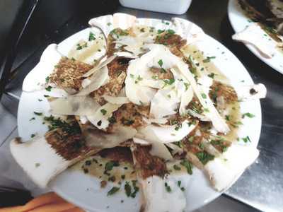 Meson Gallego O'carro