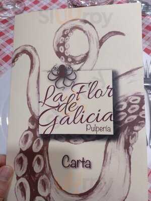 La Flor De Galicia Ii
