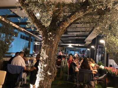 Cervecería Y Restaurante El Olivo