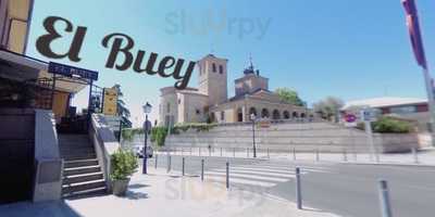 El Buey Boadilla