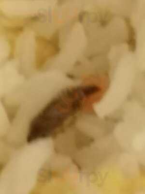 Restaurante Palacio Dong Jing