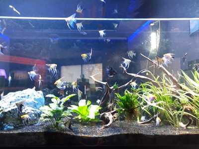 Restaurante El Frijol