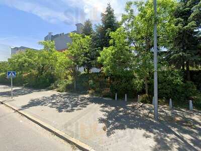 Catedritos Ibéricos