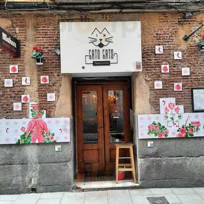 Gato Gato