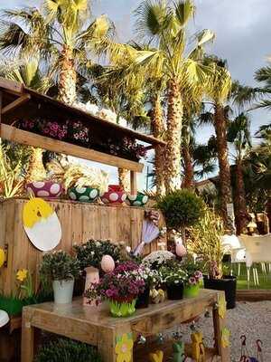 Sweet Peas Garden Centre Coffee Shop