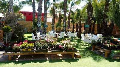 Sweet Peas Garden Centre Coffee Shop