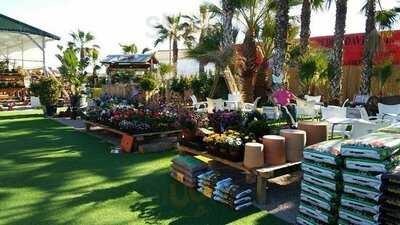 Sweet Peas Garden Centre Coffee Shop