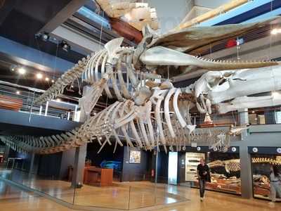 Restaurante Museo Maritimo Del Cantabrico
