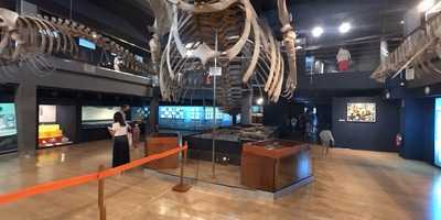 Restaurante Museo Maritimo Del Cantabrico