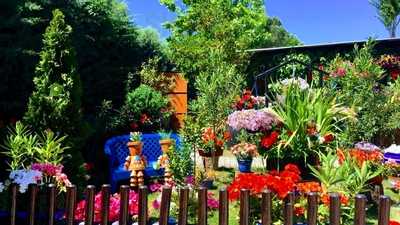 El Rincón De Enrique