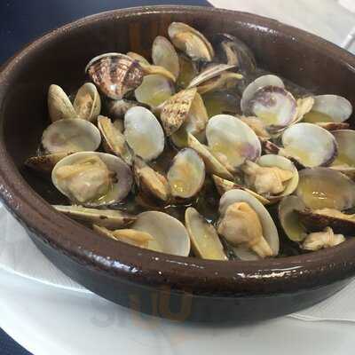 Neptuno Cocedero De Marisco