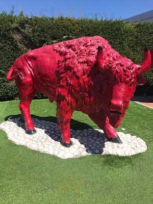 Buffalo Grill