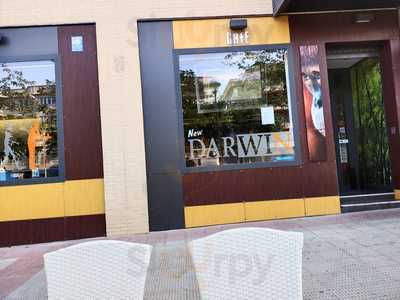 Bar Cafeteria Darwin