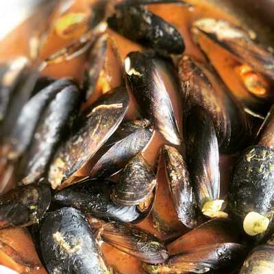 El Indio Terraza Club