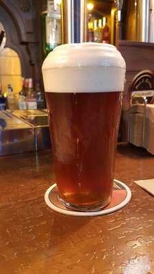 Colorado Beer & Drink's