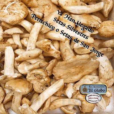 Restaurante El Globo