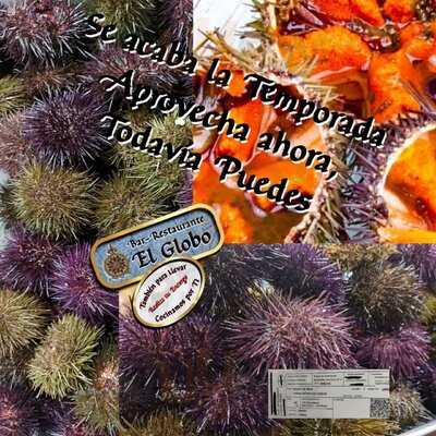 Restaurante El Globo