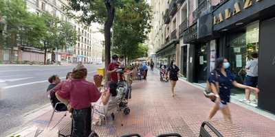 Paperboy Perrito Bar