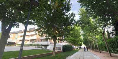 Paschi Cocina Peruana Y Pisco Bar