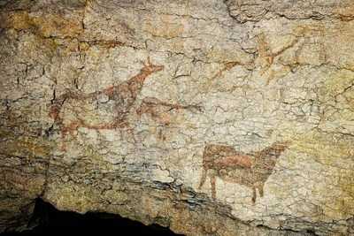 Salchicherias La Tirolesa