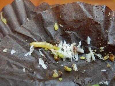 Pasteleria Oriental Abu Nuwas