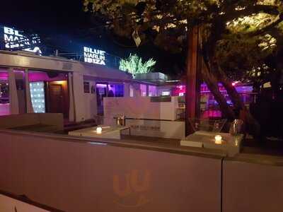 Blue Marlin - Photo 8