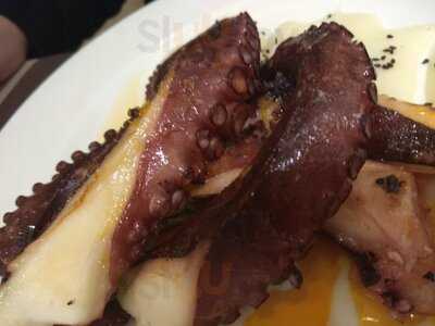 El Patio Del Humedal