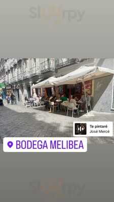 Bodegas Melibea