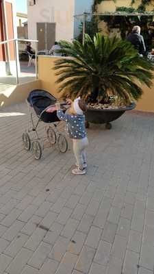 Bizcochos Borrachos De Ojos Joaquinito