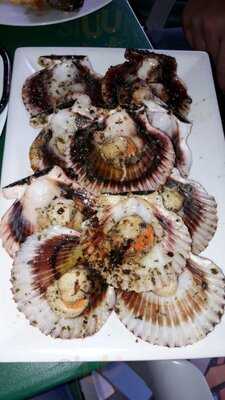 Pulpería El Molinuco