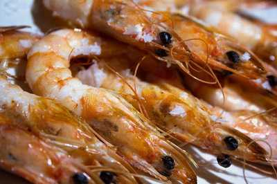 Cerveceria El Llagosti