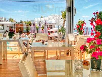 Cenit Pool - Photo 8