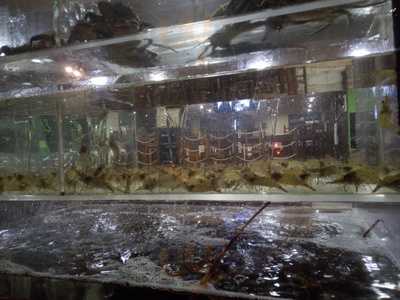 Sidreria El Rincon De La Tata