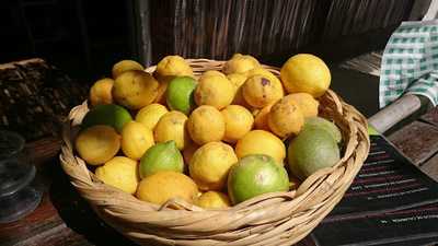 Los Pajaros Ateneo Huertano