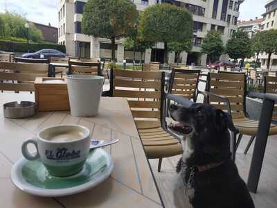 La Terraza De Argenta