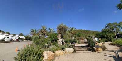 Las Dalias Life&food