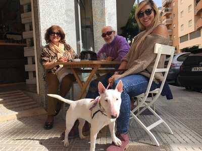 Bar Restaurante Esquina 20