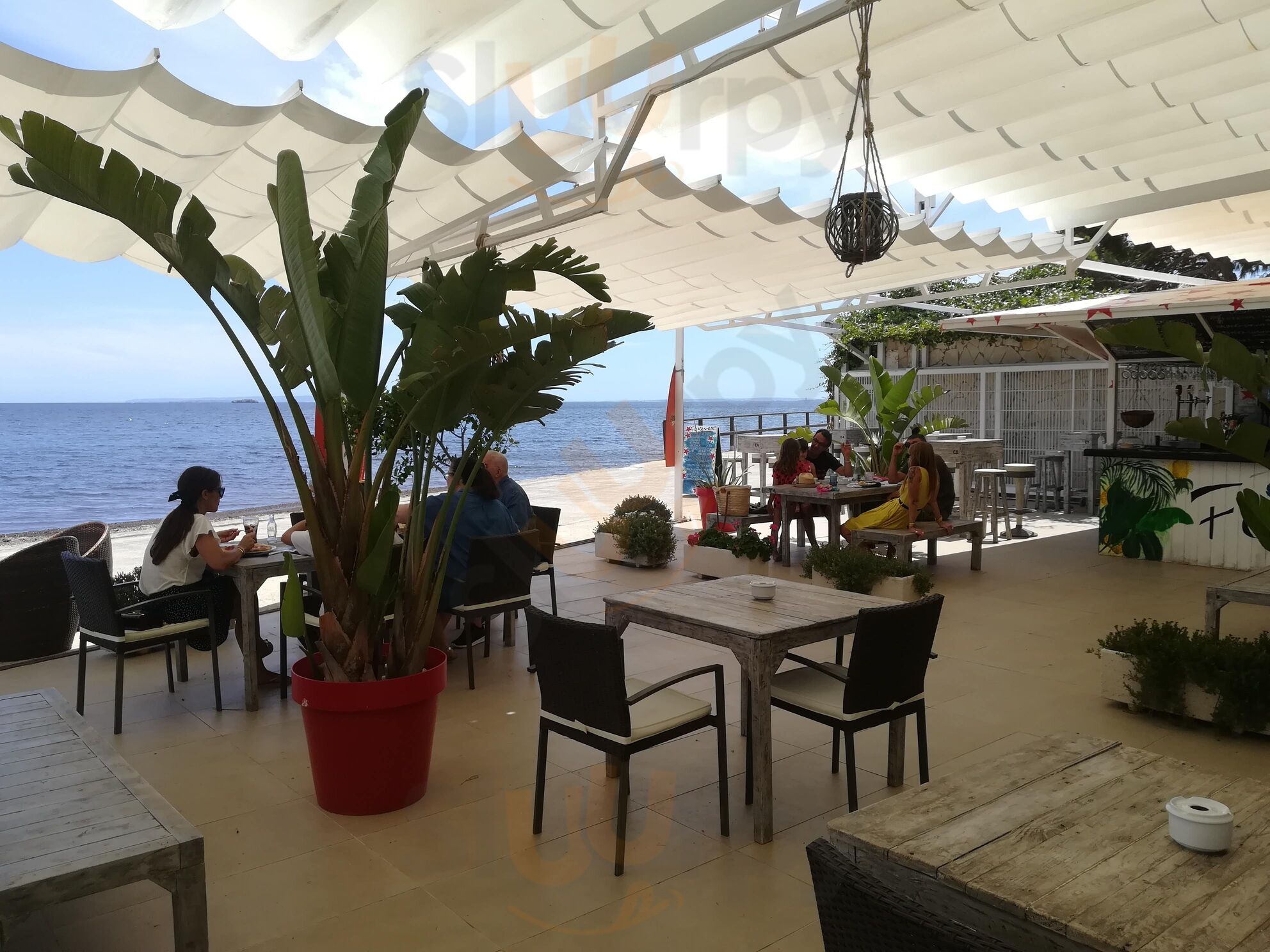 Forever Ibiza Restaurant