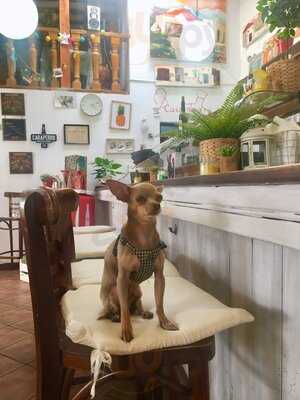 El Notario Gastrobar