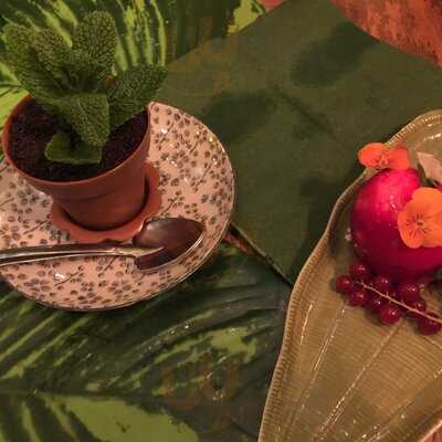 El Invernadero De Salvador Bachiller