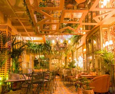 El Invernadero De Salvador Bachiller